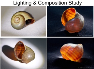 8-Simple-study