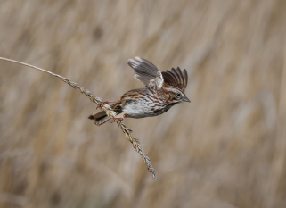 Time-To-Go-by-Jim-StJohn-05-T-5f5477f41972fe34aaca1d94c075f8c4