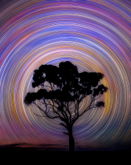 Southern Star Trails