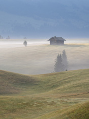 Alpine-Dream-by-Jim-Albamont-2026-01-T-3533b0636823edc67b60ac680141592b