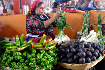 Market-Vendor-by-David-Gurule-2026-04-O-46a34e98365679861d7f34ef56c6347d