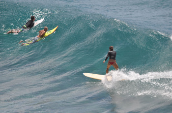 Surfin-is-Golden-by-Mike-Gallagher-2026-04T-7b05714575e77ff8db916b7972f1b9c8