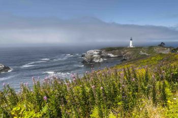 Yaquina-in-Spring-by-James-Dunn-2026-4-T-f07d96f8d953359c87dcf85694925aab