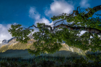 Mirror-Lake-by-Dan-Schafer-2026-02-T-43b90a477ae1ffdb604f371a2cf700c4