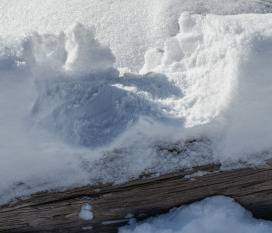 Negative-Impression-by-Ralph-Delamarter-2026-02-T-c6956a80d7dbb294ce3704c2de451a5e