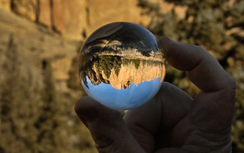 Perspective-Distilled-by-John-Williams-2026-02-T-6d6f0f291a3488e7e8b0b0bc952e92c6