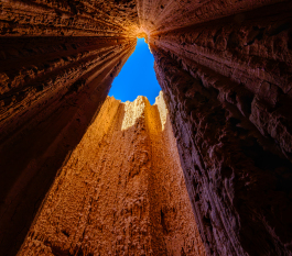 Vertical Horizon