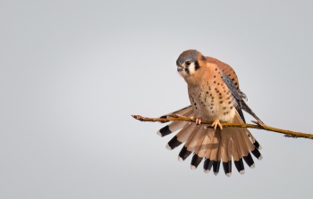 Hey-Baby-by-John-Williams-2025-06-O-227d738948889234dad4c7f75a8130f9