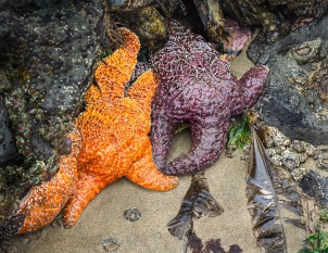 Low Tide