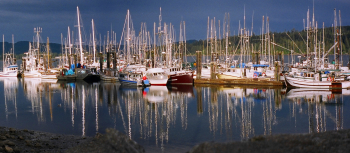 Sailers-Take-Warning-Ruth-Baker-2026-03-T-c1c026d22120ec9259a7becc8e92c18d