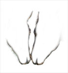 Touching by Bev Murphy