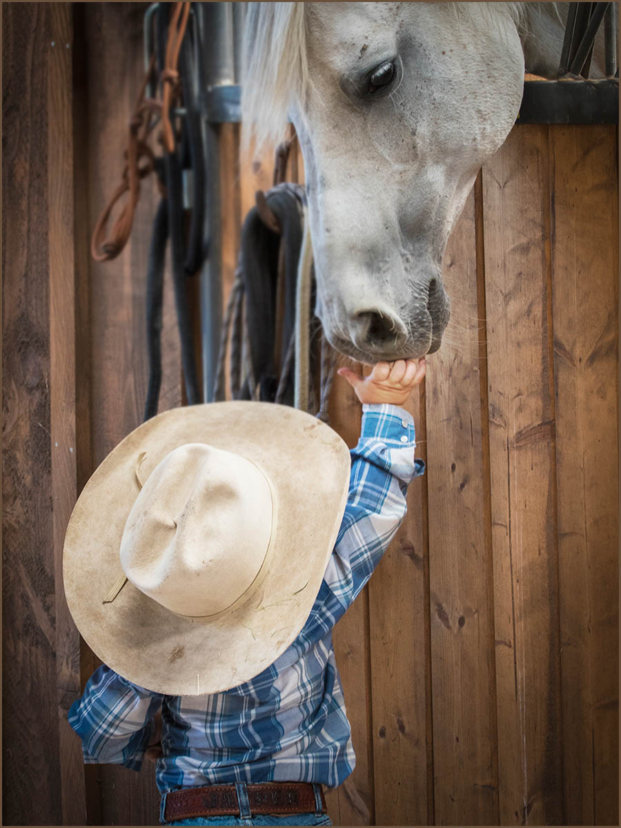 New Friend by Bev Murphy