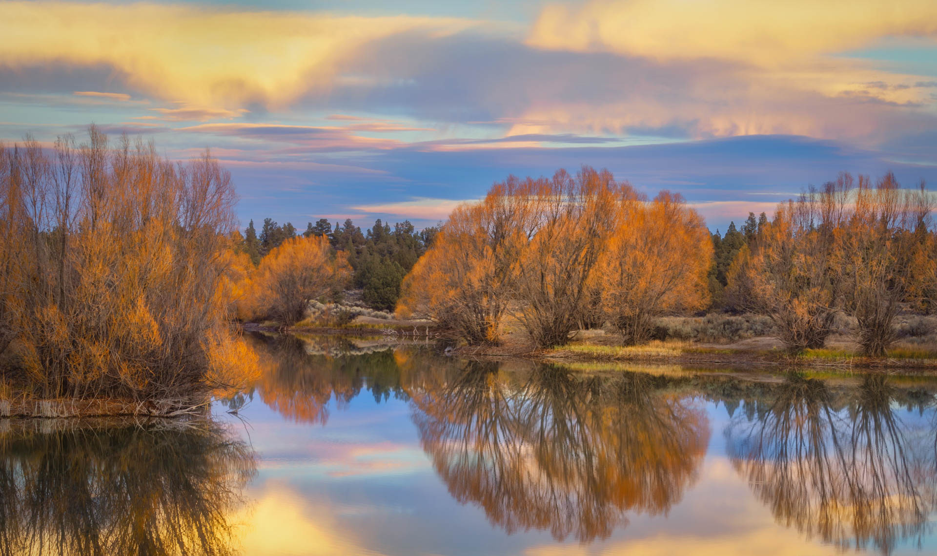 Reynolds Pond Reflection by S. Littau