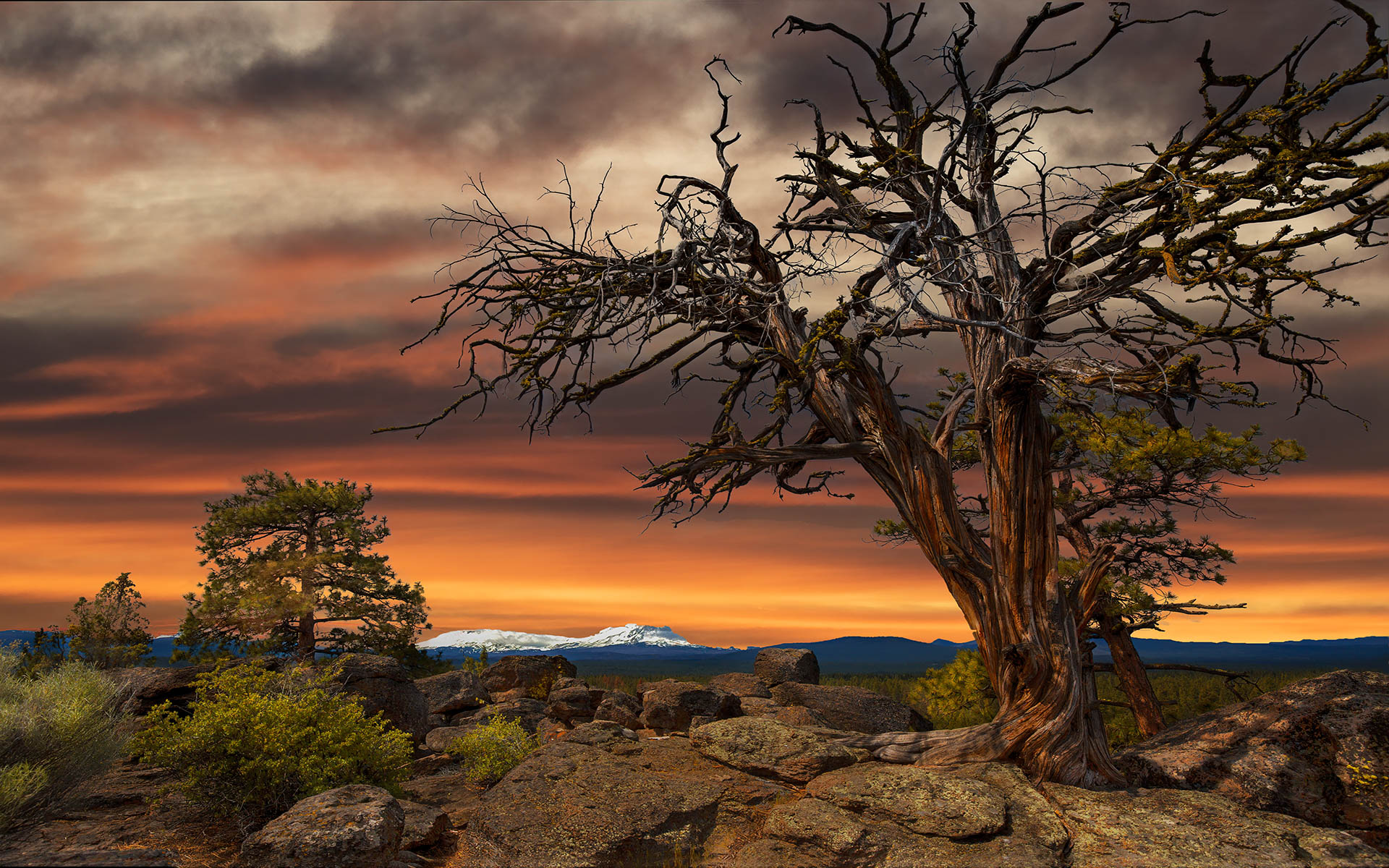 Eagle Rock sunset