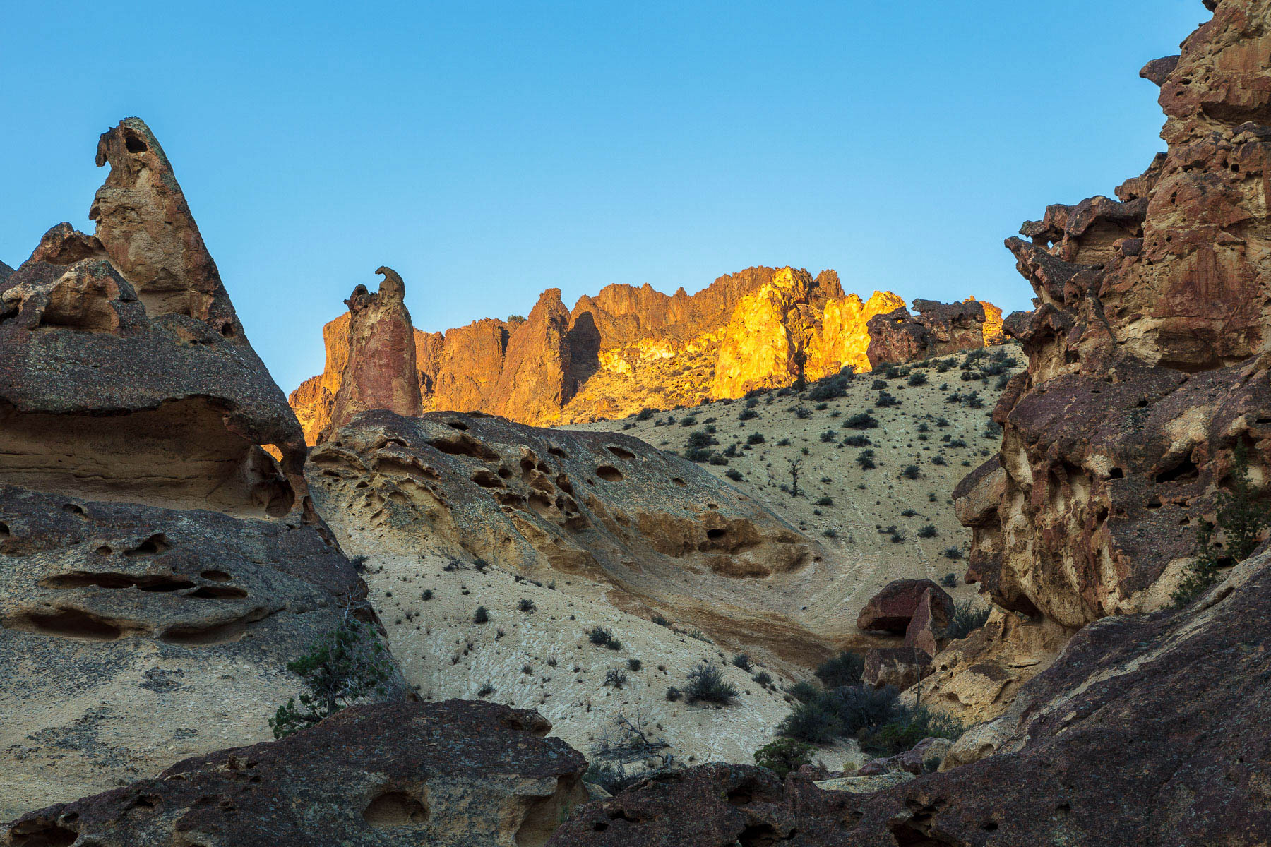 Leslie Gulch #1