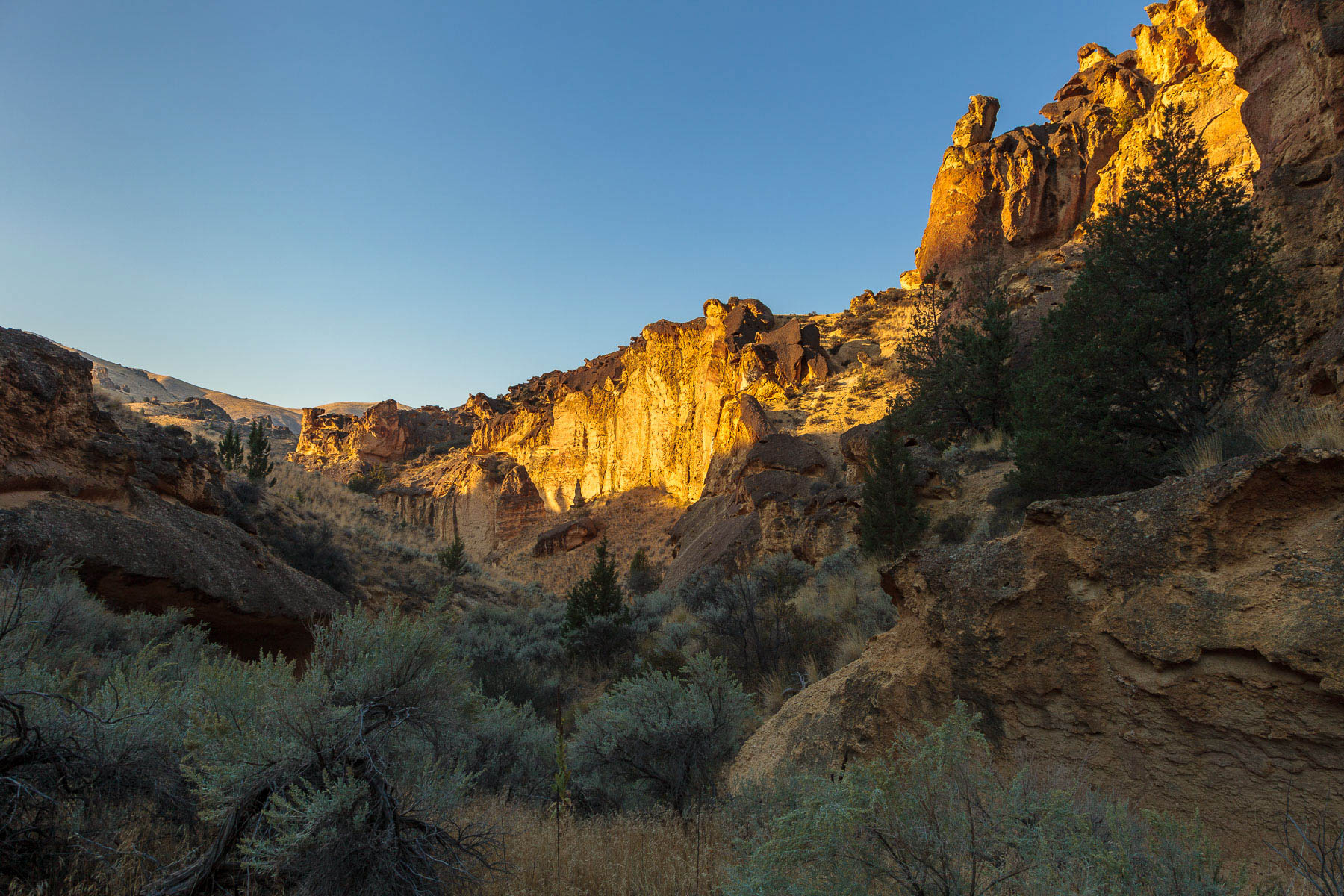 Leslie Gulch #2