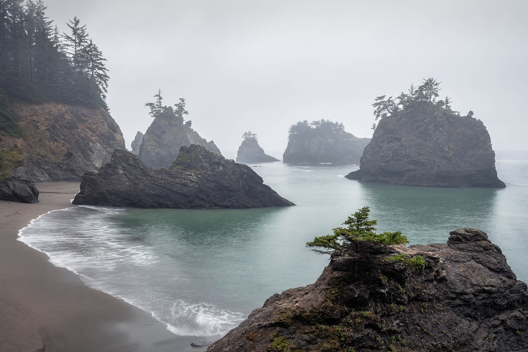 Foggy Oregon Coast