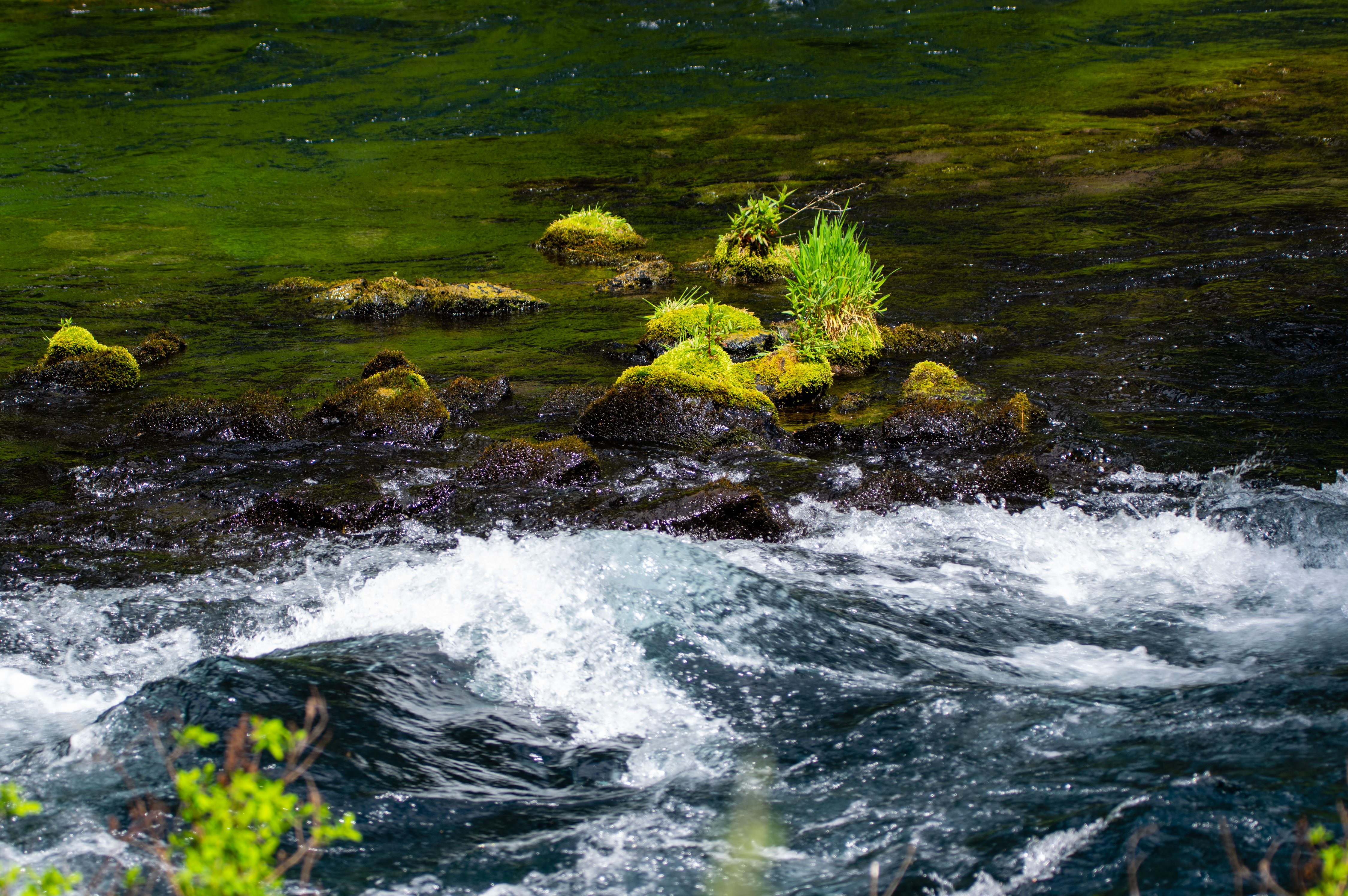 File Upload: test-4500px.jpg