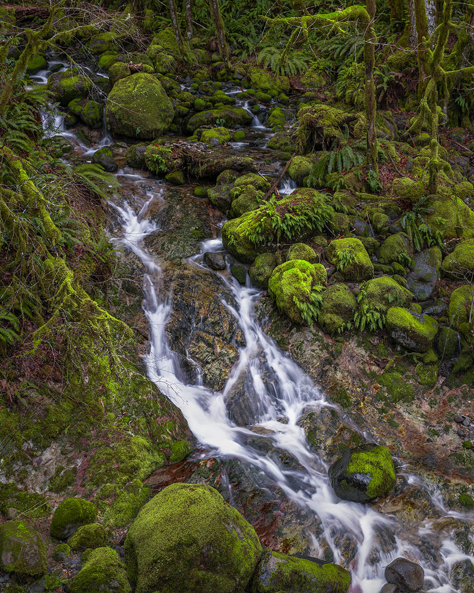 Santiam Creek