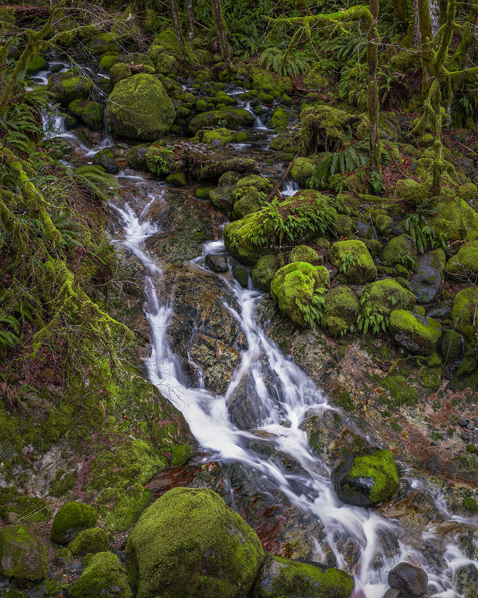 Santiam Creek