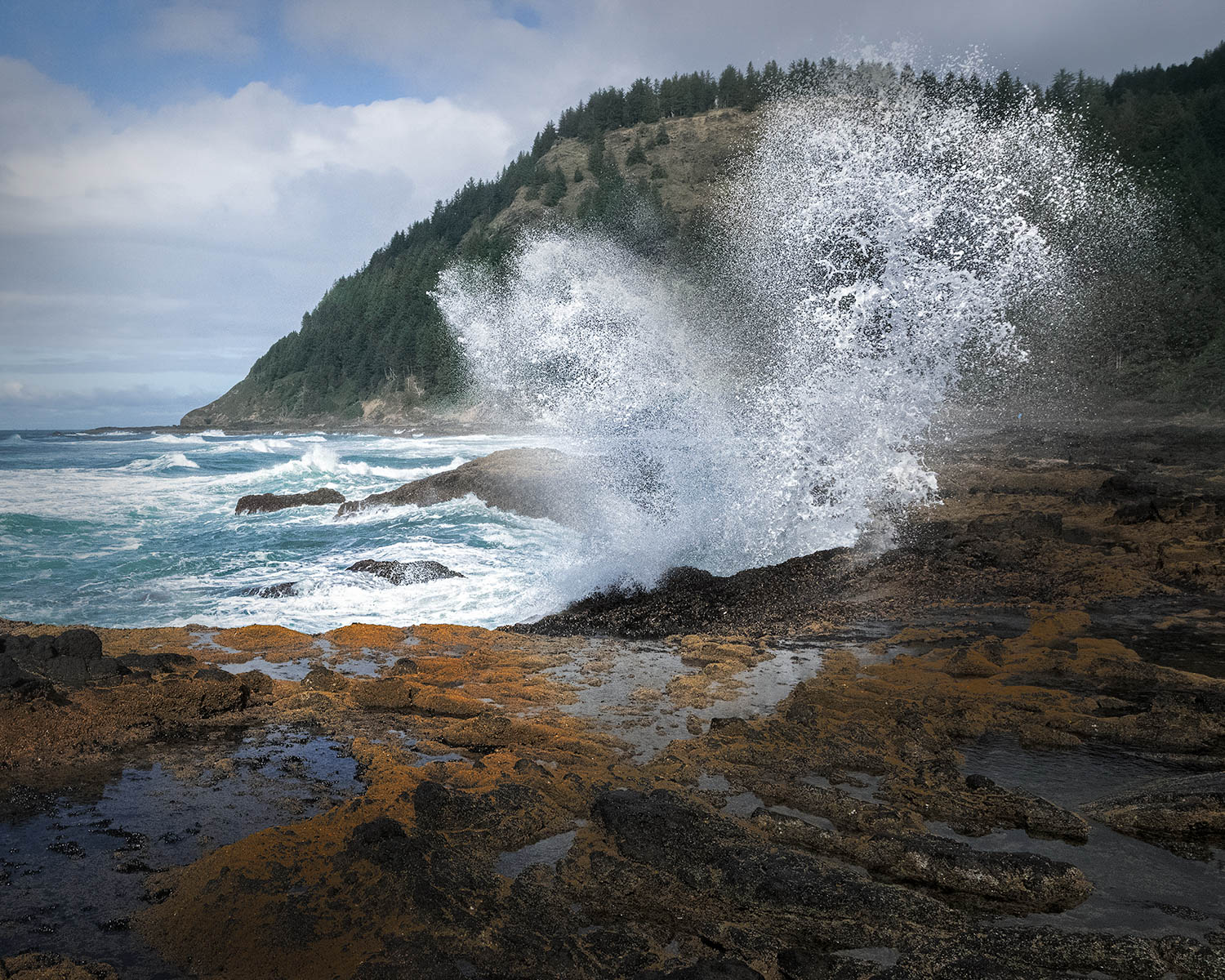 Low tide on the Oregon Coast