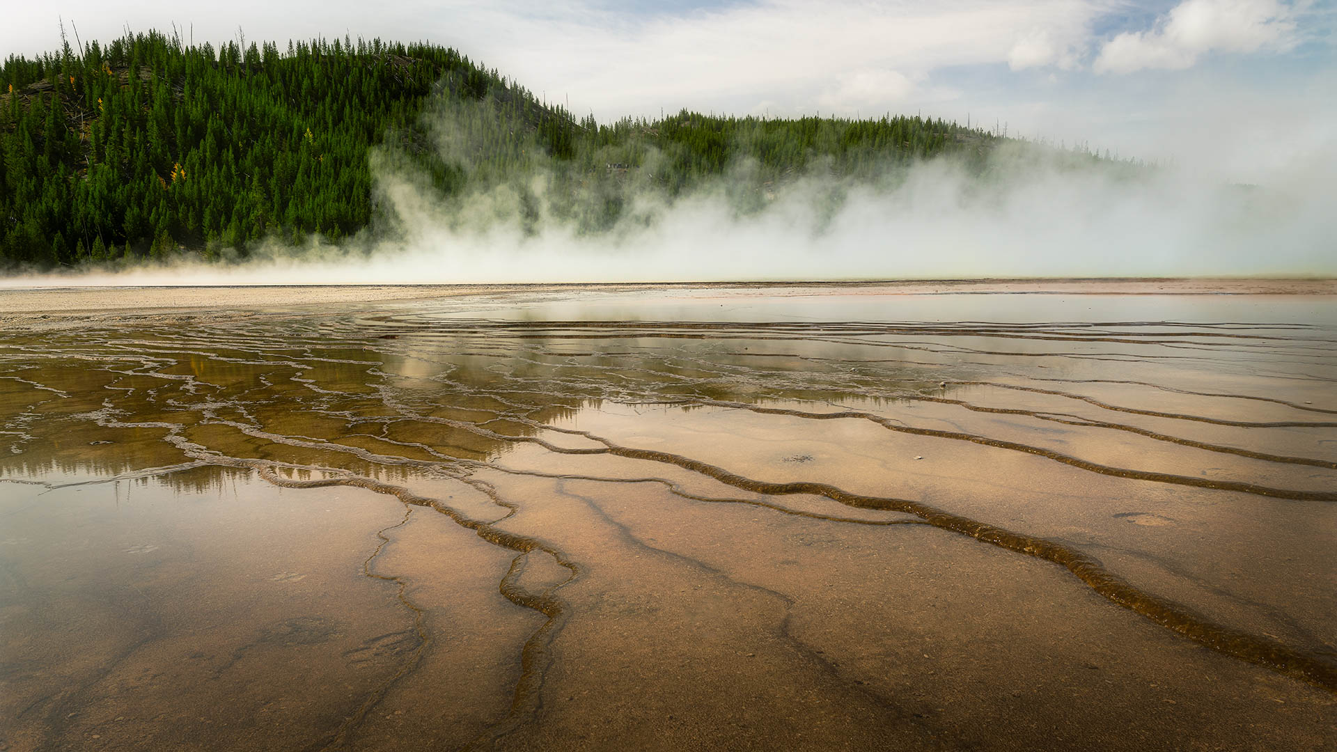 Midway Geyser Basin