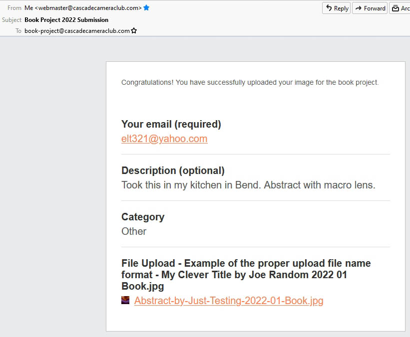 Book_Project_2022_Submission_-_Inbox_-_webmaster@c_2021-11-12_11-31-23