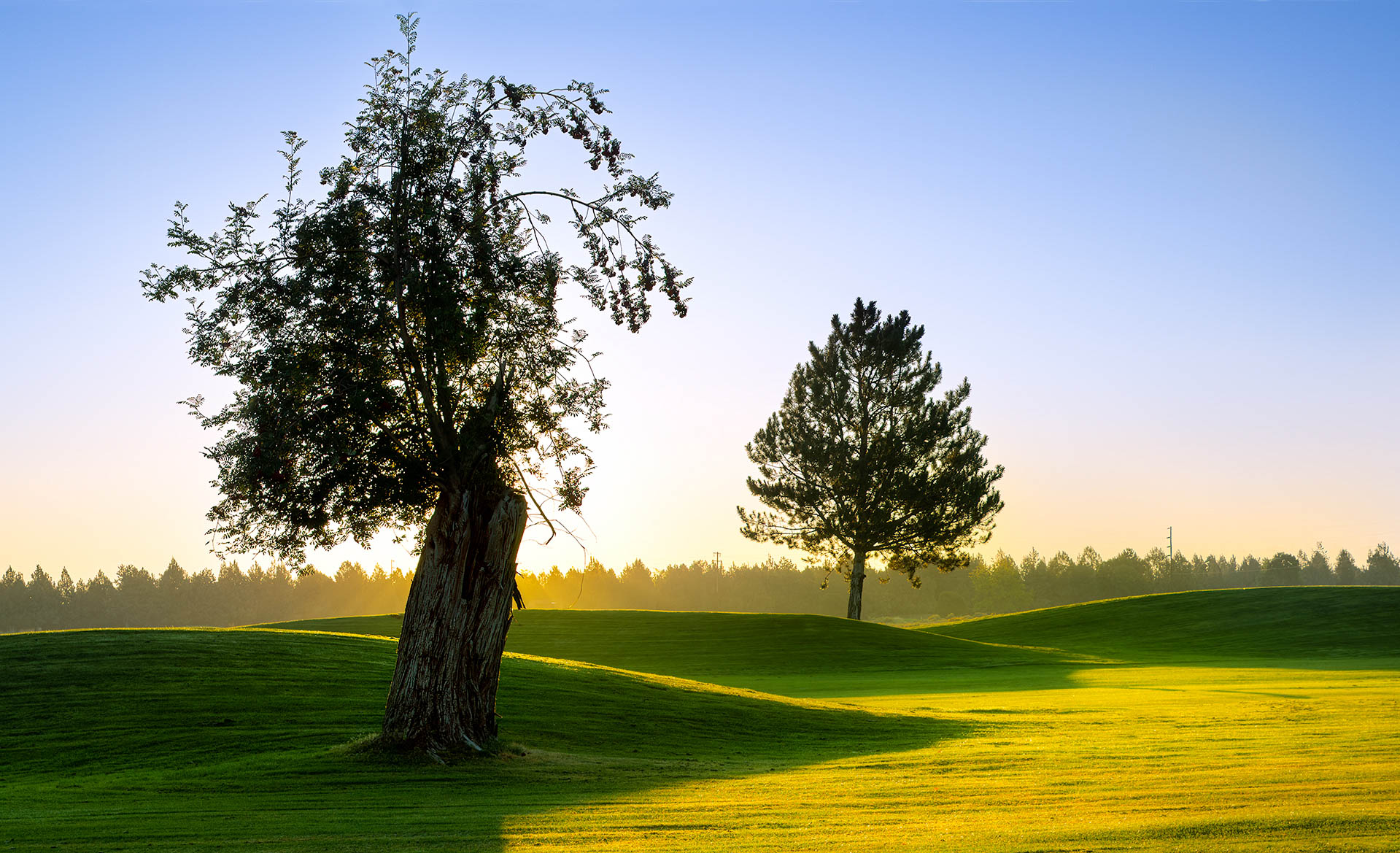 Sunrise on the Golf Course by Blanche Feekes