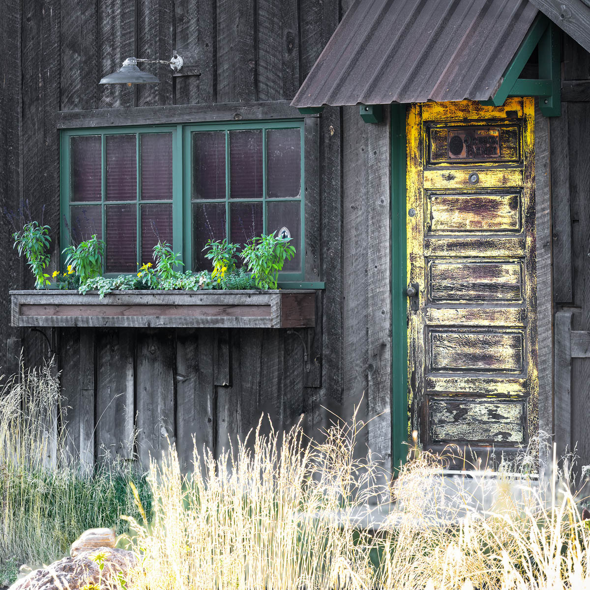 Yellow Barn Door by Blanche Feekes