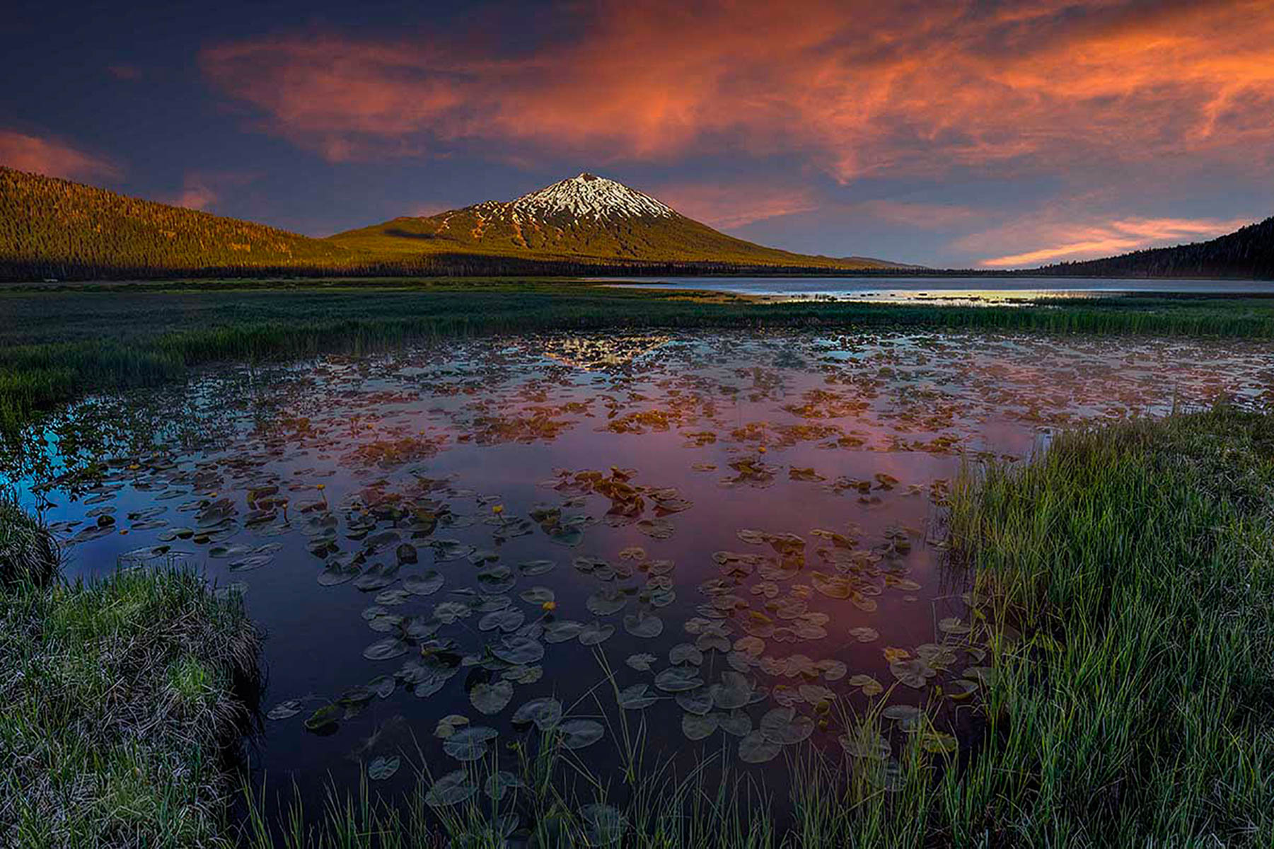 Sparks Meadow by Richard Marrocco