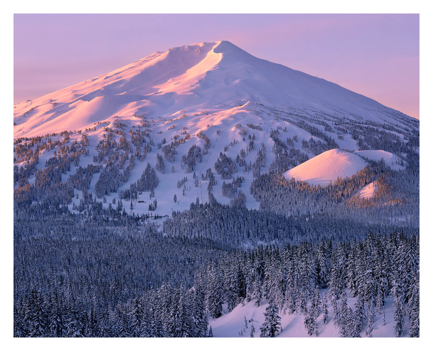 Pine Marten – Mt. Bachelor’ by Bruce Jackson