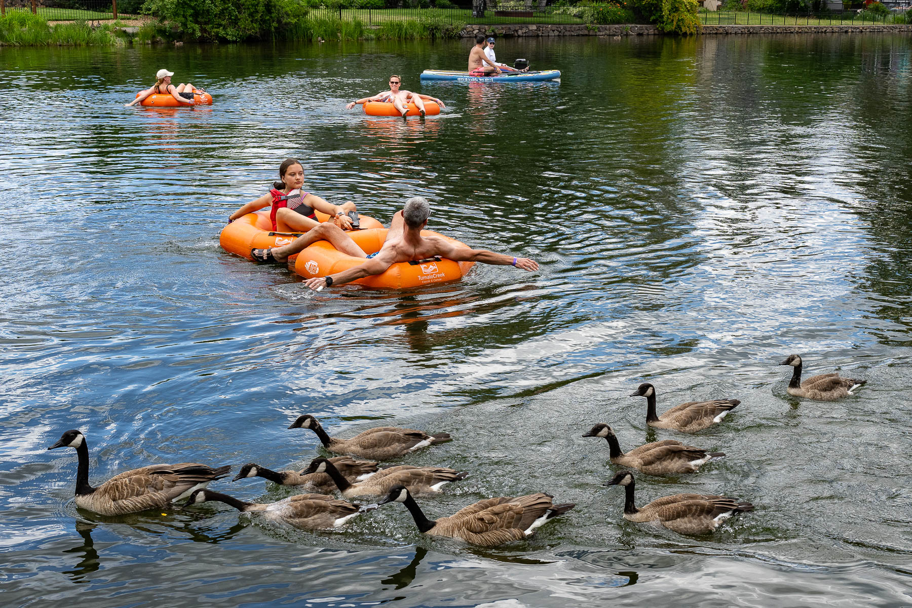 Sharing the River by John Stewart