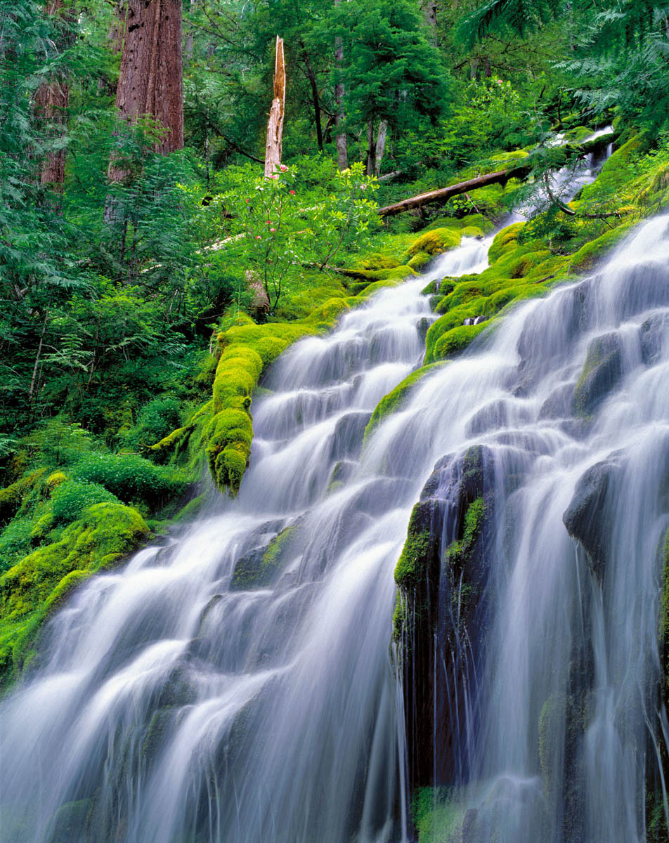 Upper Proxy Falls by Ric Ergenbright