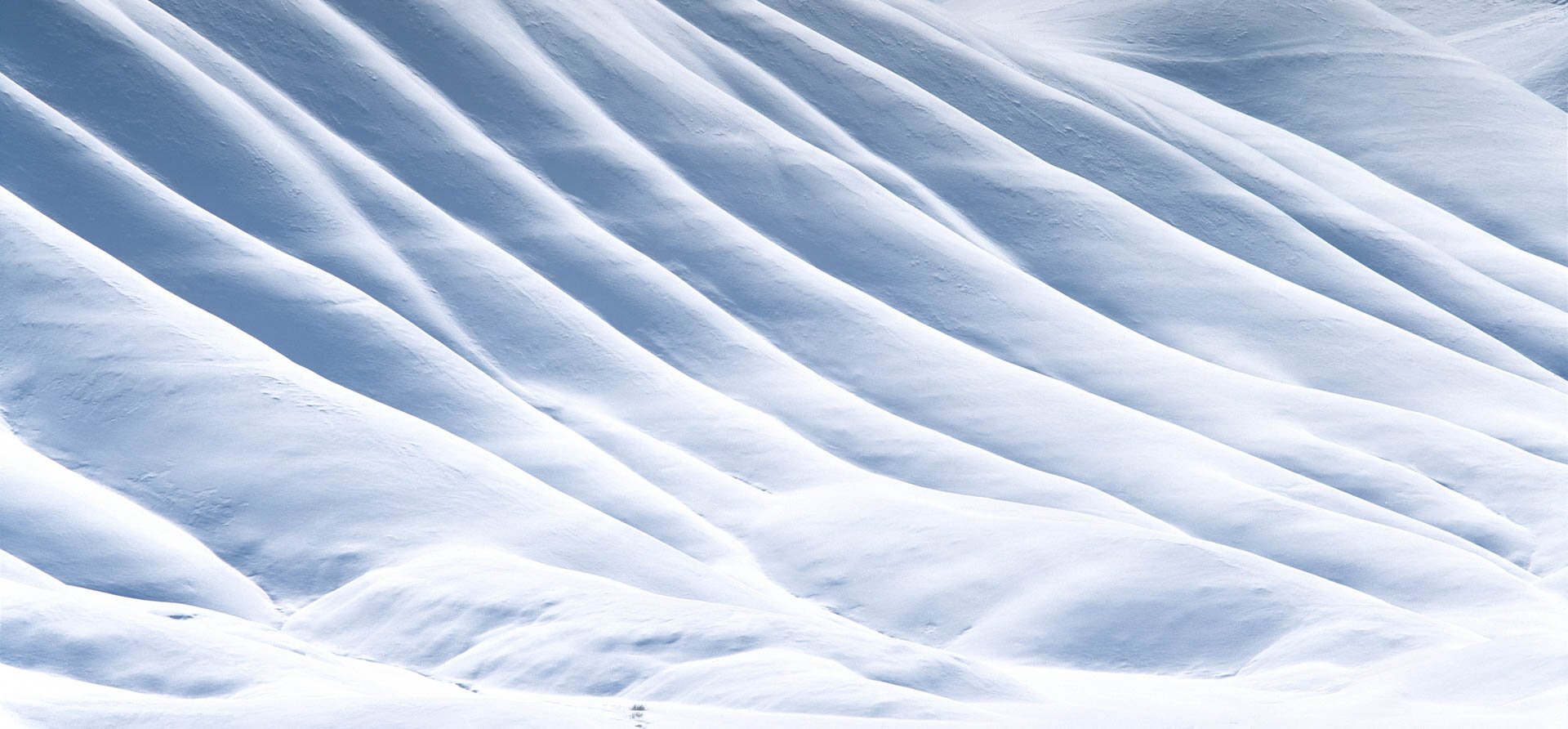 White Painted Hills by Ric Ergenbright