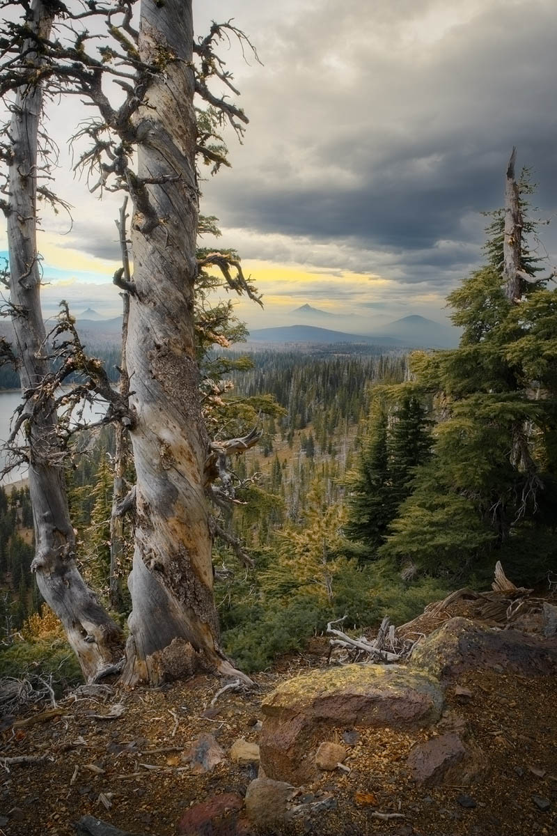 Autumn Hike Tam McArthur Trail by Blanche Feekes