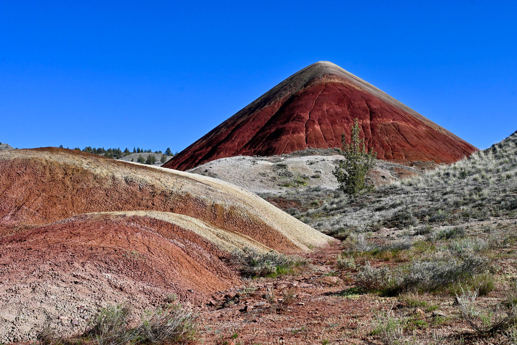 Red Hill by Mike Gallagher