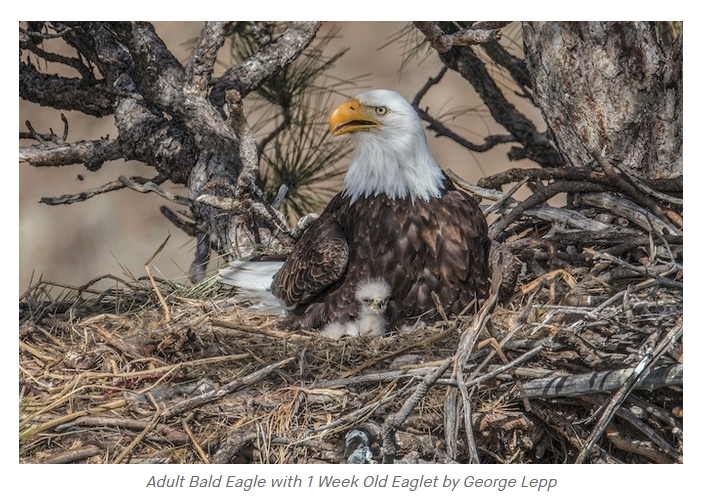 The_Spirit_of_Central_Oregon_Photobook_5