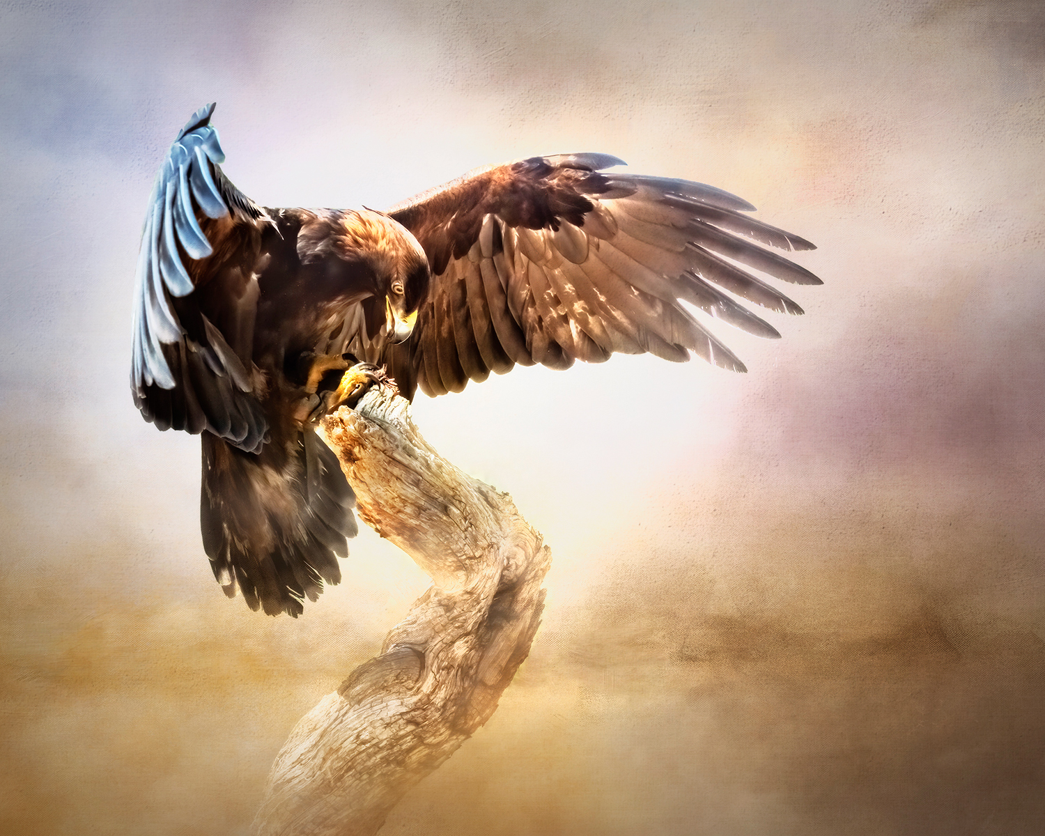 File Upload from your device, properly sized as above, and in the proper name format, as above: Eagle-Landing-by-Bev-Murphy-2024-07-T