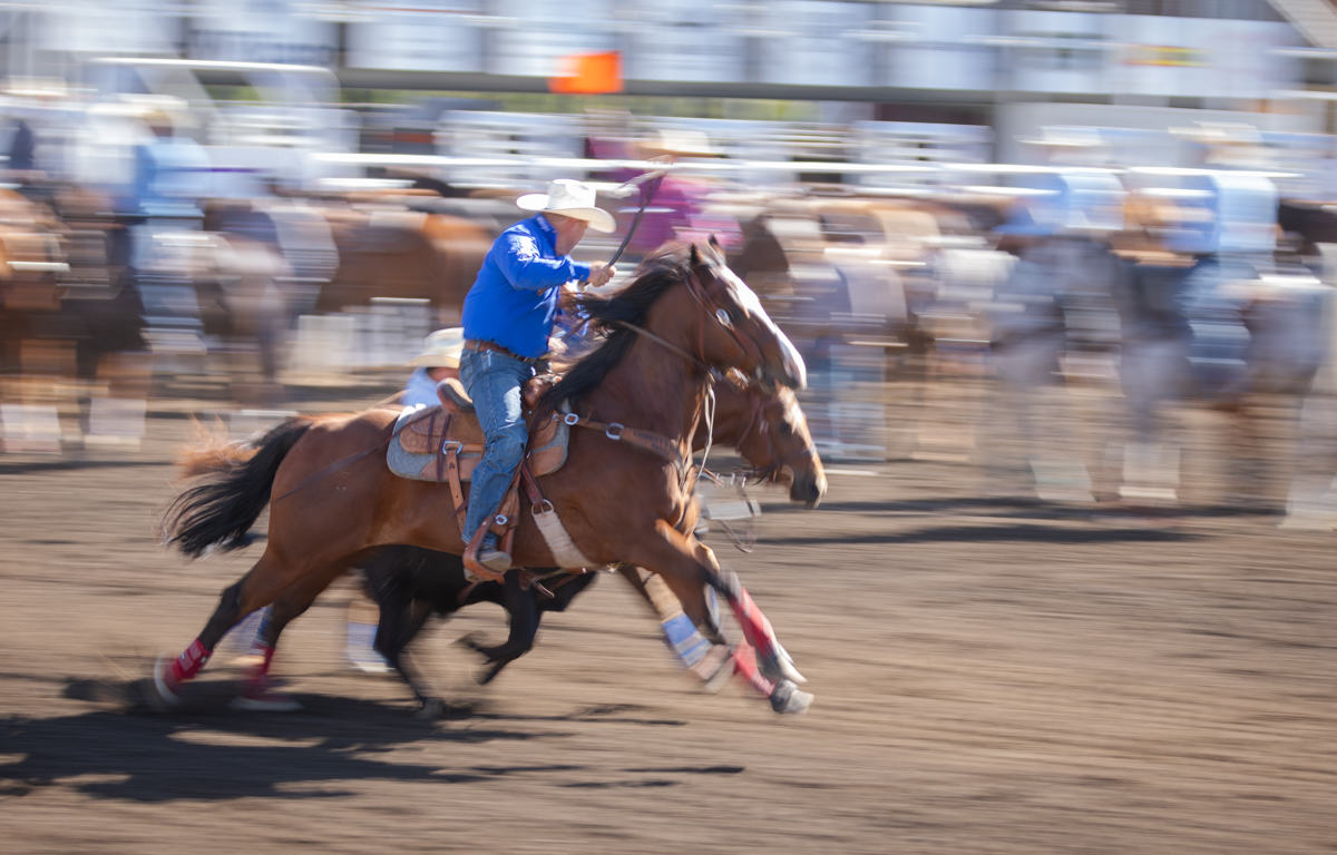 File Upload from your device, properly sized as above, and in the proper name format, as above: Here-We-Go-by-Joel-Bailie-2024-12-T