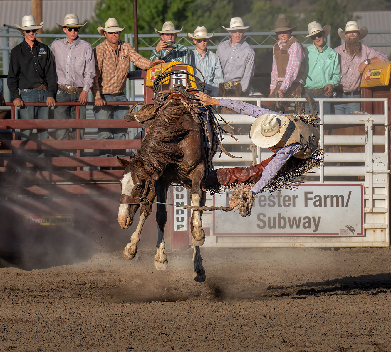 File Upload from your device, properly sized as above, and in the proper name format, as above: Ranch-Bronc-Rodeo-by-Judy-Neill-2024-12-T