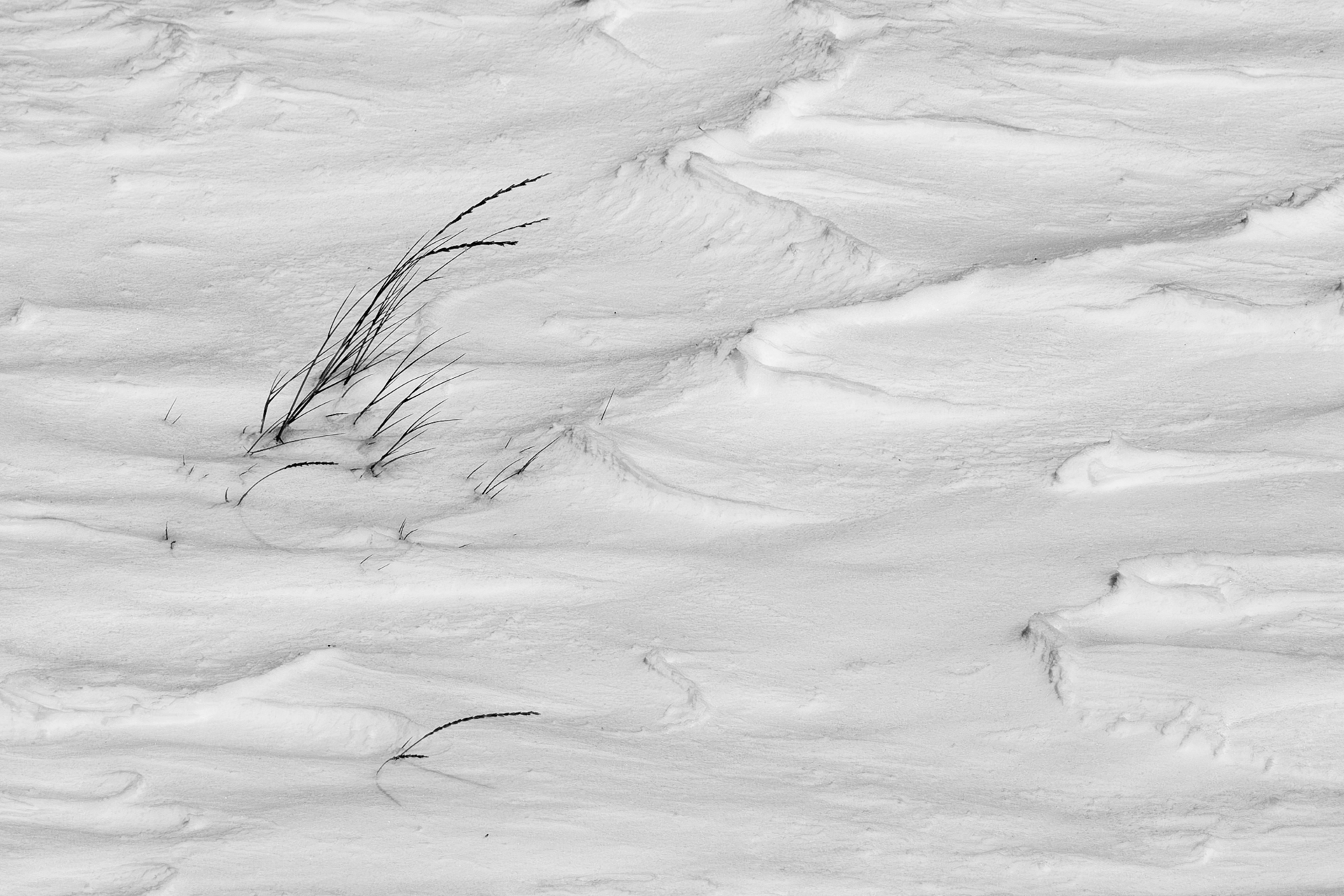 File Upload from your device, properly sized as above, and in the proper name format, as above: Ripples-by-Eric-Wentzel-2024-12-T-1