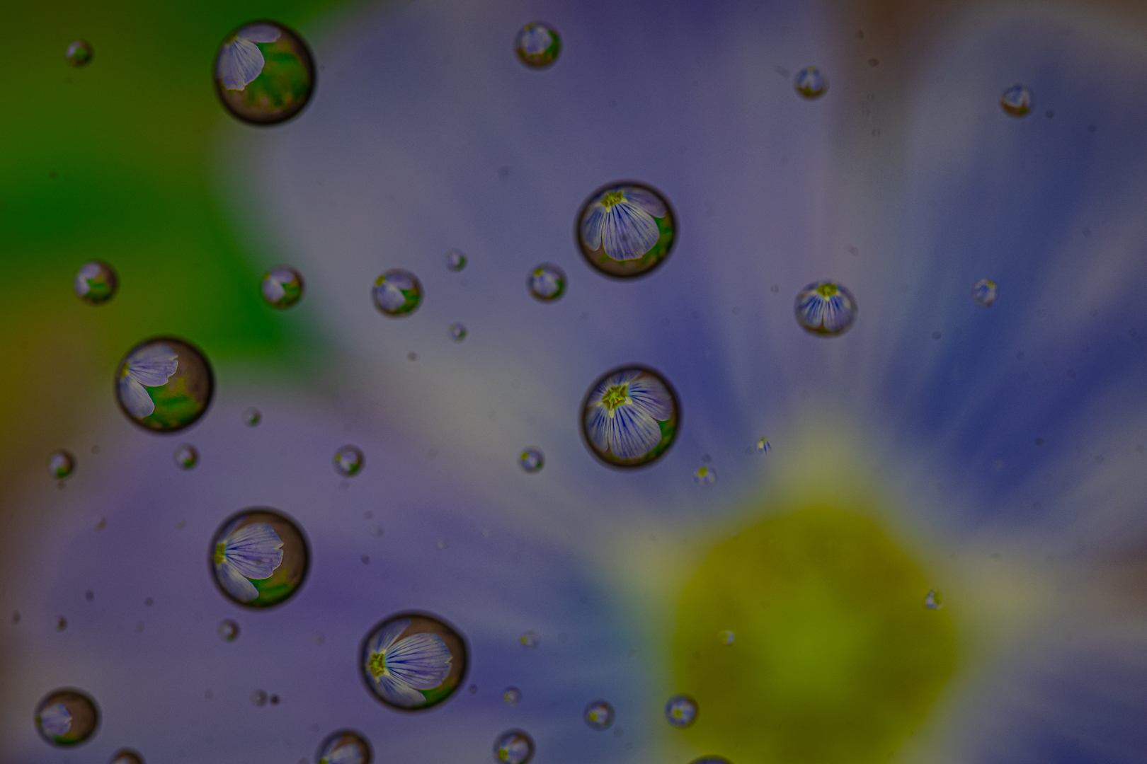 File Upload from your device, properly sized as above, and in the proper name format, as above: GX9A5230