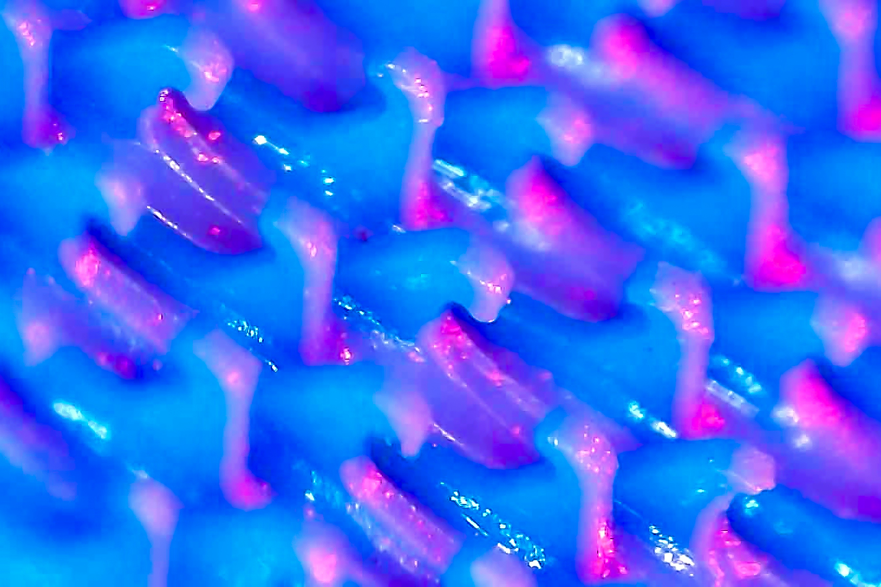 File Upload from your device, properly sized as above, and in the proper name format, as above: Into-the-Maw-by-Mike-Norkitis-2025-02-T