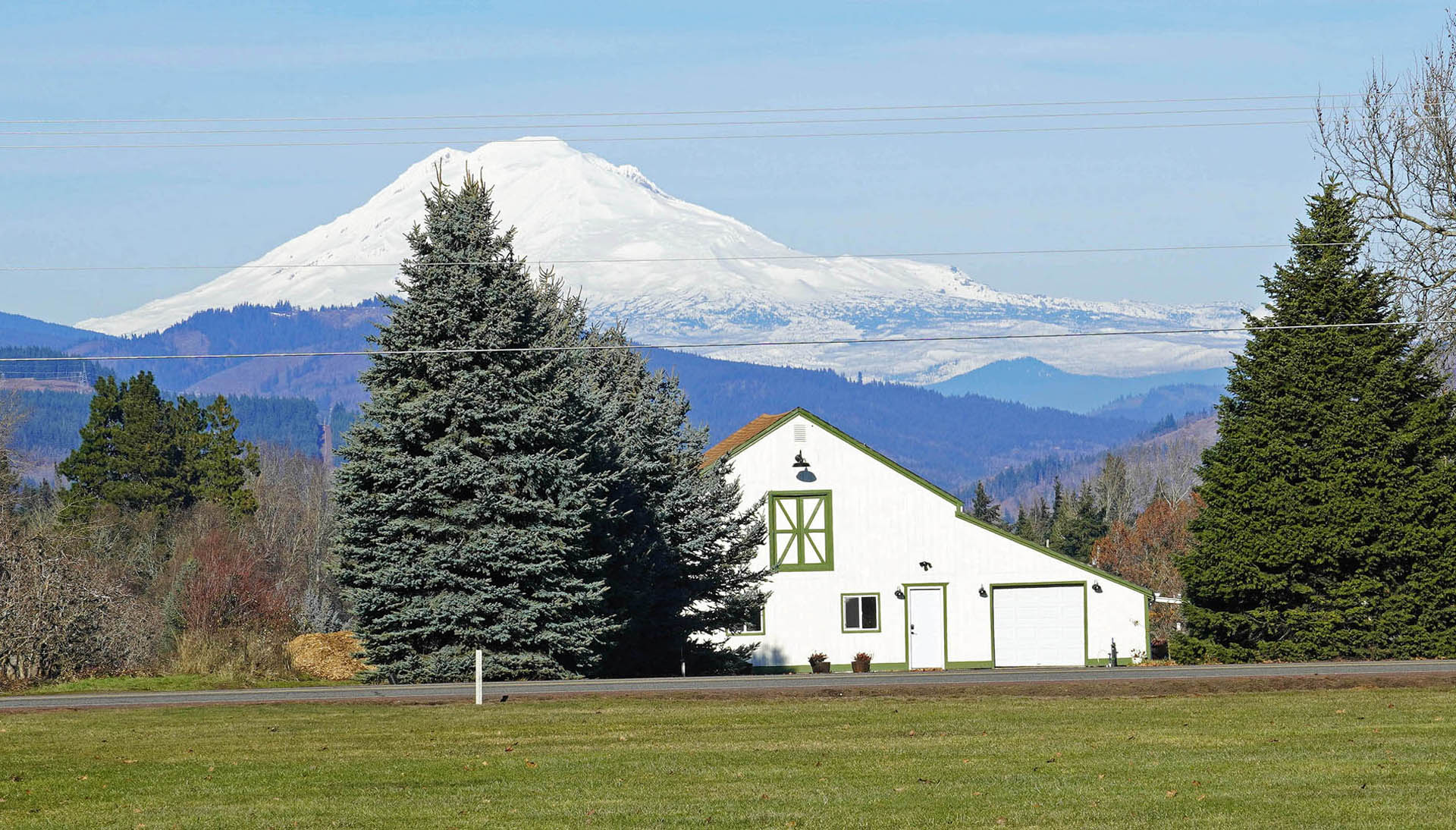 File Upload from your device, properly sized as above, and in the proper name format, as above: Mount-Adams-Farm_edited-3