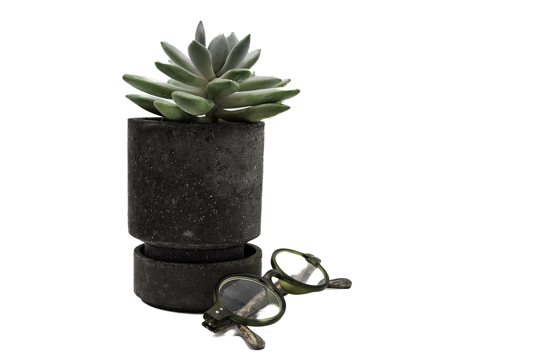 File Upload from your device, properly sized as above, and in the proper name format, as above: Potted-Succulent-with-Readers-by-Blanche-Feekes-2025-02-T