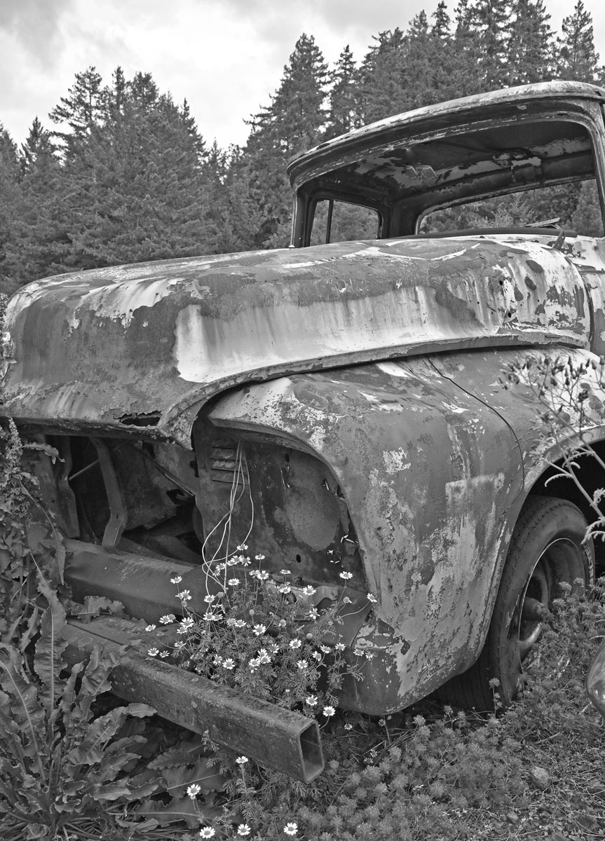 File Upload from your device, properly sized as above, and in the proper name format, as above: RUSTic-In-My-Mind-by-Mike-Gallagher-2025-1-T