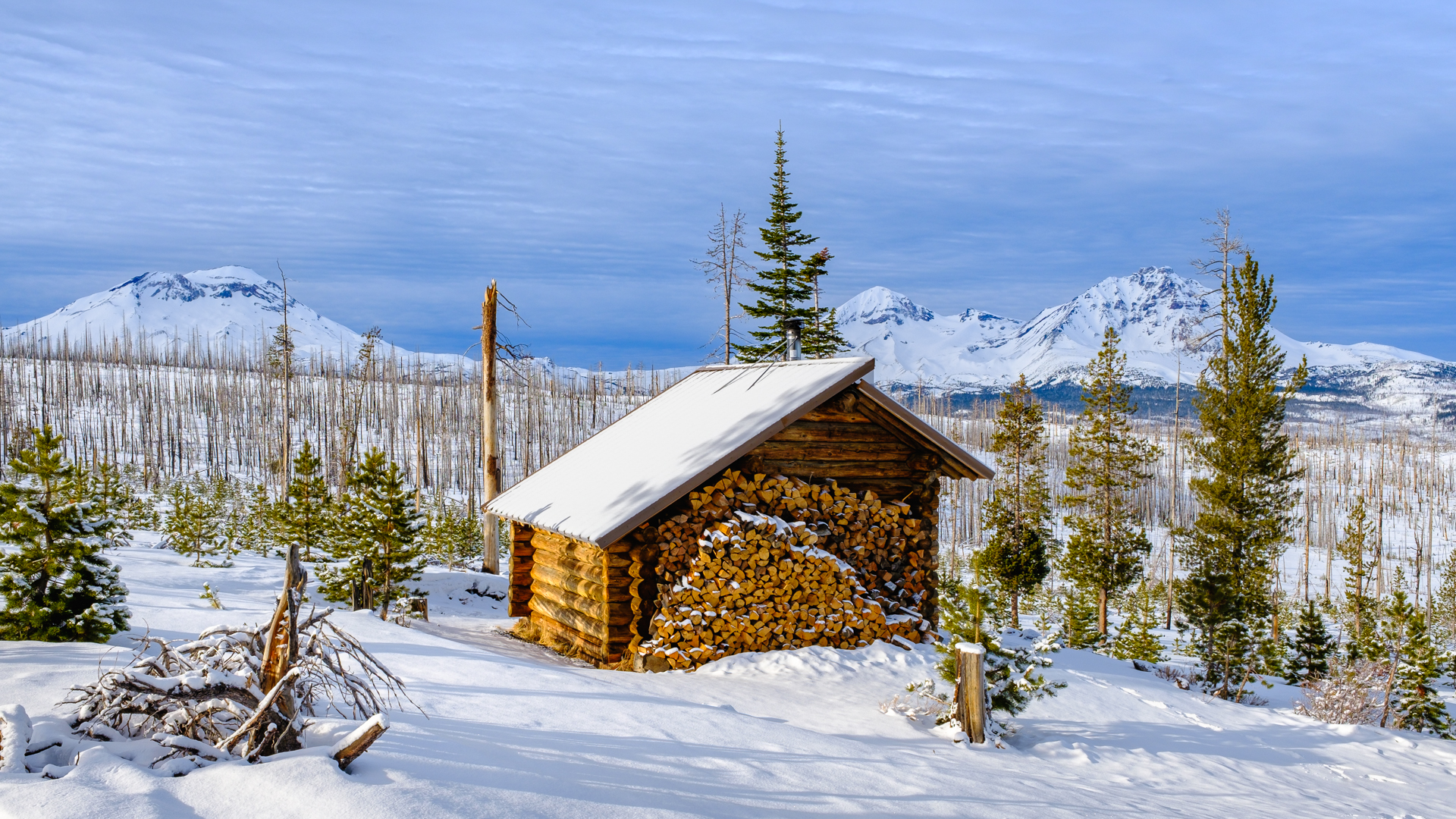 File Upload from your device, properly sized as above, and in the proper name format, as above: Shelter-in-the-Cascades-by-John-Aylward-2025-01-T