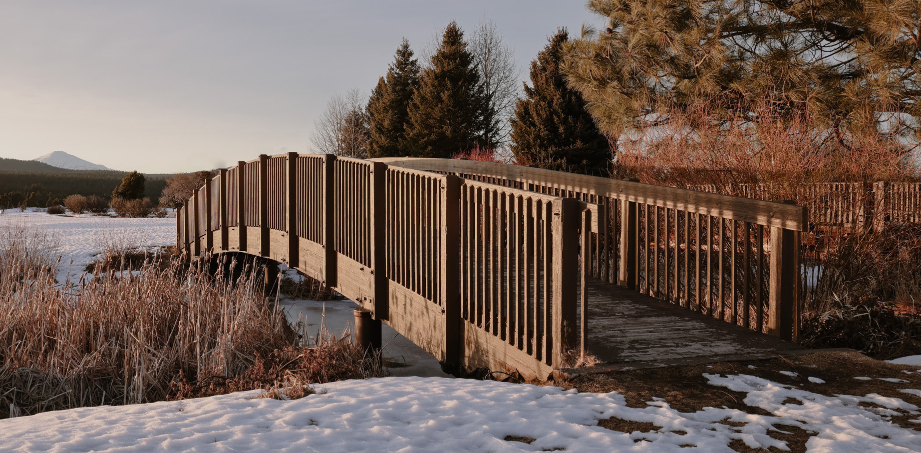 File Upload from your device, properly sized as above, and in the proper name format, as above: Bridge-by-Tom-Hansen-2025-03-T.jpg