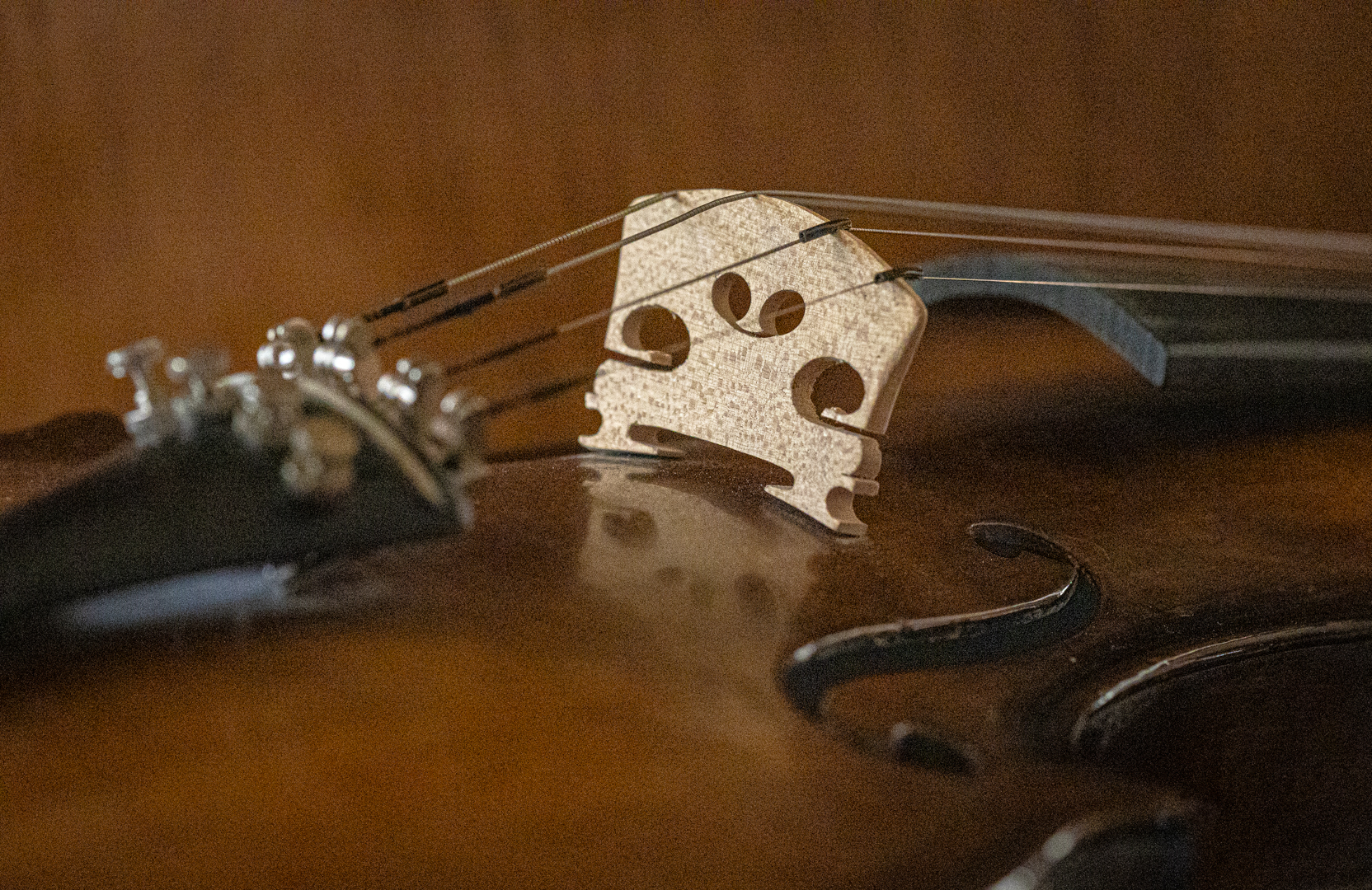 File Upload from your device, properly sized as above, and in the proper name format, as above: GX9A9788