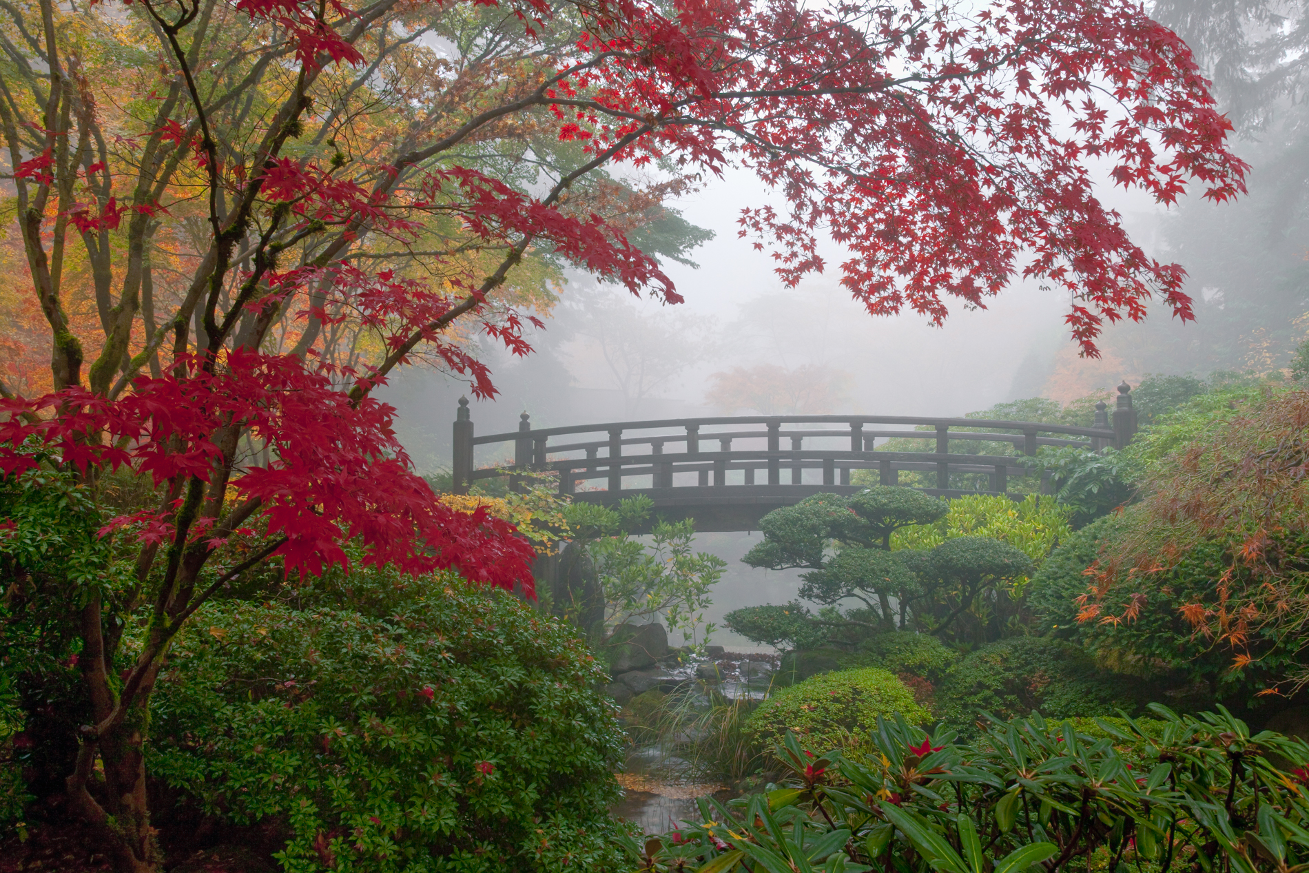 File Upload from your device, properly sized as above, and in the proper name format, as above: Whispers-of-Paradise-by-Ric-Ergenbright-2025-3-T